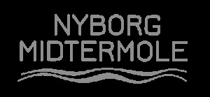 Project Nyborg